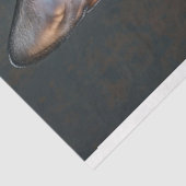 Steampunk Black Sphynx Cat Decoupage Tissuepapier (Detail)