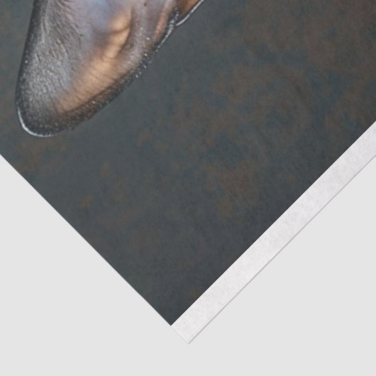 Steampunk Black Sphynx Cat Decoupage Tissuepapier (Detail)