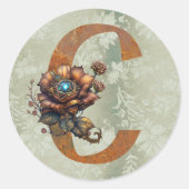  Steampunk Bloemletter C Ronde Sticker (Voorkant)