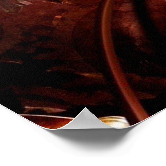 Steampunk Camera Eye Poster (Hoek)