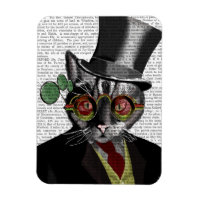 Steampunk Cat - Bovenste hoed en rode gele glazen