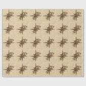 Steampunk Compass Star Cadeaupapier (Vlak)