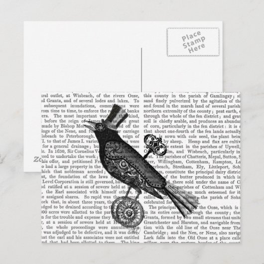 Steampunk Crow 2 Briefkaart (Voorkant / Achterkant)