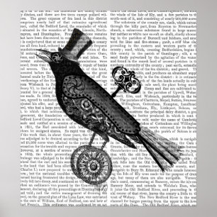 Steampunk Crow Poster