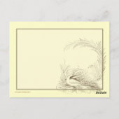 Steampunk Diriable Air Tour Briefkaart (Achterkant)