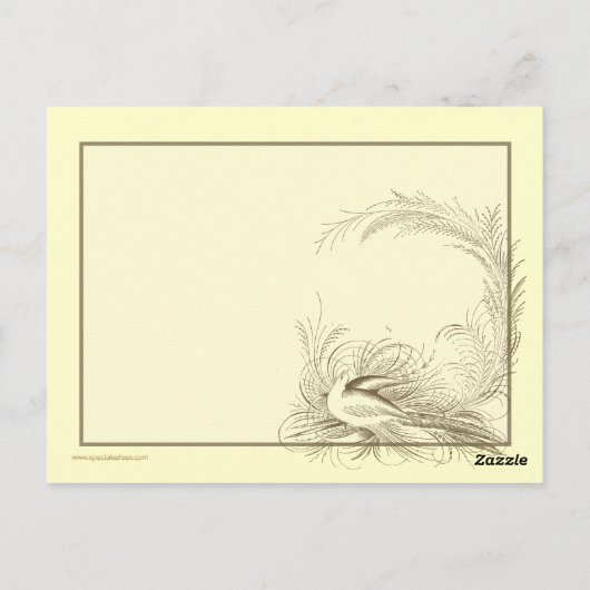 Steampunk Diriable Air Tour Briefkaart (Achterkant)