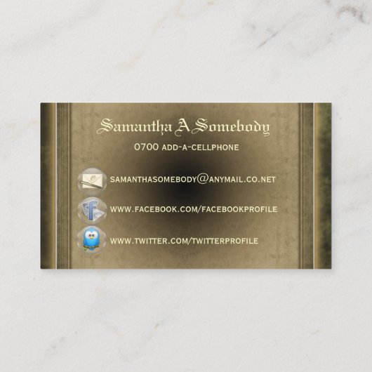 Steampunk Dirigibele Air Tour Profile-kaarten Visitekaartje (Achterkant)