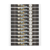 Steampunk Dragonflies op bruine gestreepte achterg (Vel)