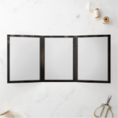 Steampunk Dragonflies op bruine gestreepte achterg Drieluik Programma (Binnen)