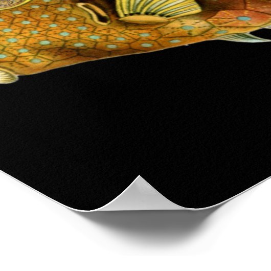 Steampunk Fish Poster (Hoek)