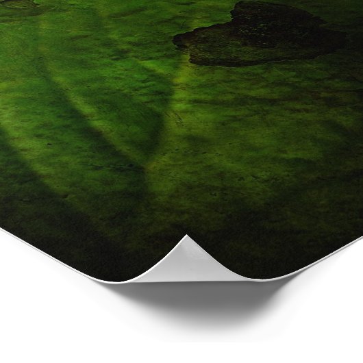 Steampunk - Insect - Arachnia Automata Poster (Hoek)