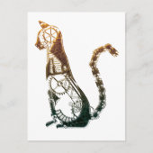 Steampunk katten briefkaarten (Voorkant)