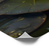 Steampunk Kikker | Gotische Kunst Poster (Hoek)