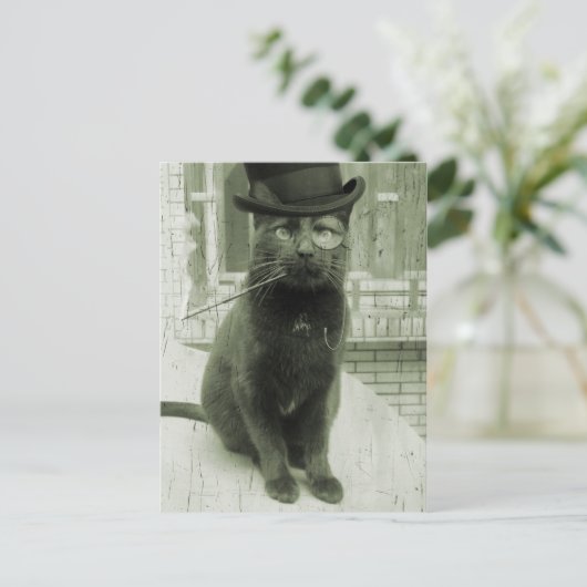  Steampunk LOL Funny Cat Briefkaart (Staand voorkant)