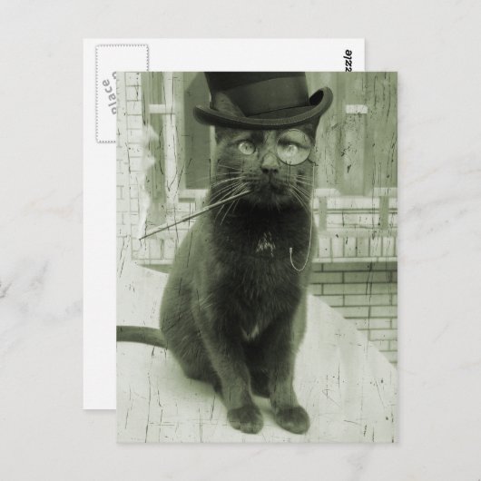  Steampunk LOL Funny Cat Briefkaart (Voorkant / Achterkant)