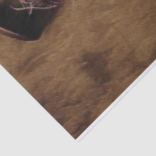 Steampunk Man met Raven Decoupage Paper Tissuepapier (Detail)