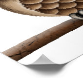 Steampunk Owl op een Tak op Wit Poster (Hoek)