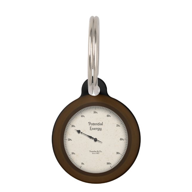 Steampunk Potential Energy Gage  Huisdierpenning (Voorkant)