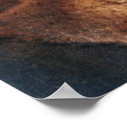 Steampunk Roos Poster (Hoek)