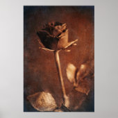 Steampunk Roos Poster (Voorkant)