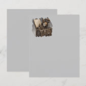 Steampunk tijdmachine -  schatkist (Voorkant / Achterkant)