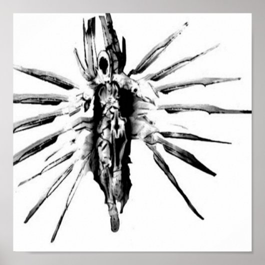 Steampunk Valkyrie Poster (Voorkant)