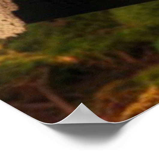 Steampunk Victoriaans Lady Mad Hatter Poster (Hoek)