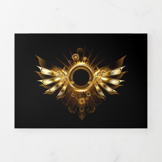 Steampunk wings drieluik programma (Cover)