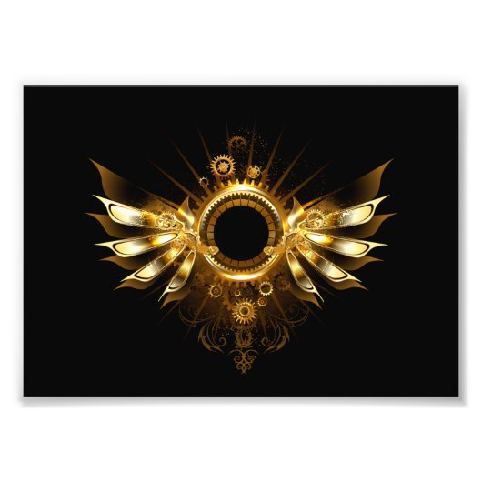 Steampunkvleugels Foto Afdruk (Voorkant)