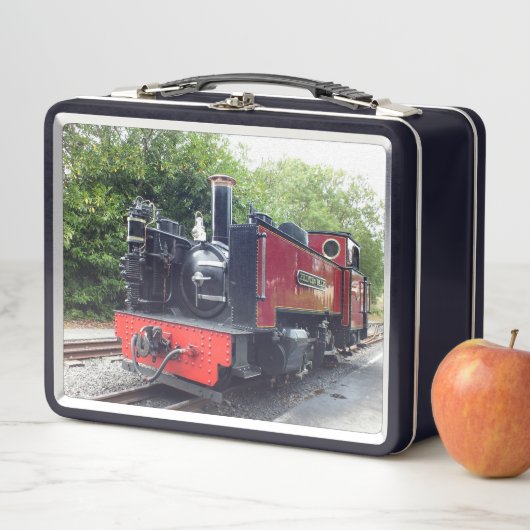 STEAMTREIN (In situ)