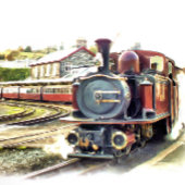 STEAMTREIN BADMAT