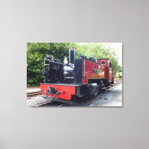 STEAMTREIN CANVAS AFDRUK