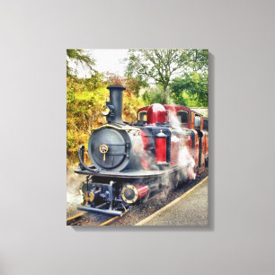 STEAMTREIN CANVAS AFDRUK