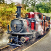 STEAMTREIN FOTO AFDRUK