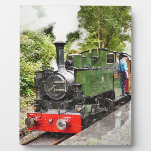 STEAMTREIN FOTOPLAAT (Voorkant)