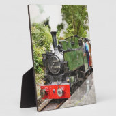 STEAMTREIN FOTOPLAAT (Zijkant)