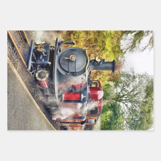 STEAMTREIN INPAKPAPIER VEL (Voorkant 2)