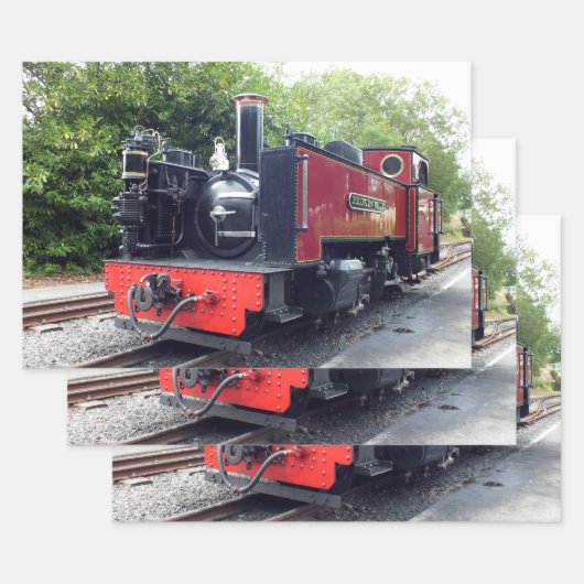 STEAMTREIN INPAKPAPIER VEL (Set)