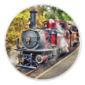 STEAMTREIN KERAMISCHE KNOP (Voorkant)