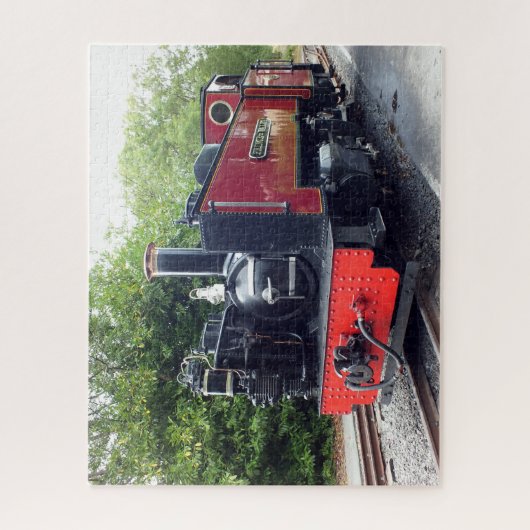 STEAMTREIN LEGPUZZEL (Verticaal)