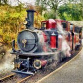 STEAMTREIN LEGPUZZEL