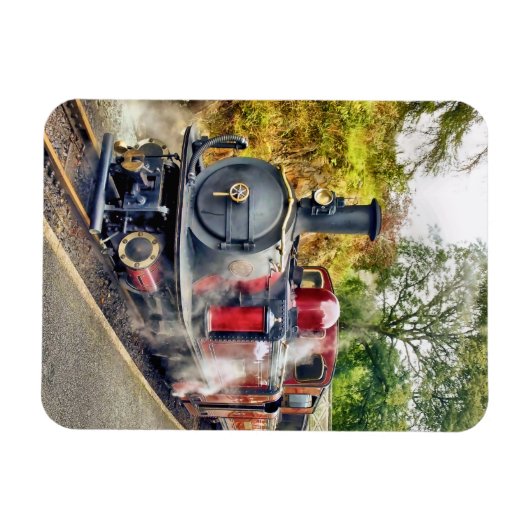 STEAMTREIN MAGNEET (Horizontaal)