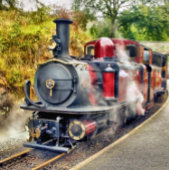 STEAMTREIN PINGPONGBAL