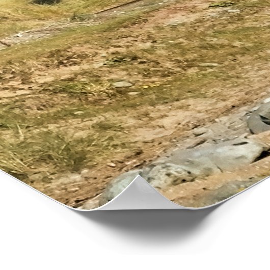 STEAMTREIN POSTER (Hoek)