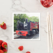 STEAMTREIN SERVET (Insitu)