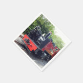 STEAMTREIN SERVET (Hoek)