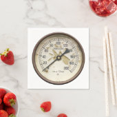 STEAMTREIN SERVET (Insitu)