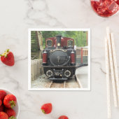 STEAMTREIN SERVET (Insitu)