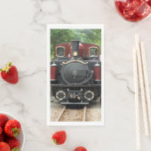 STEAMTREIN SERVET (Insitu)