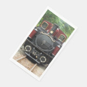 STEAMTREIN SERVET (Hoek)